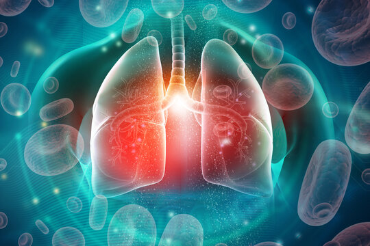 Detailed medical illustration of the respiratory system set against a modern medical background, symbolizing clinical analysis and respiratory care. 3d illustration