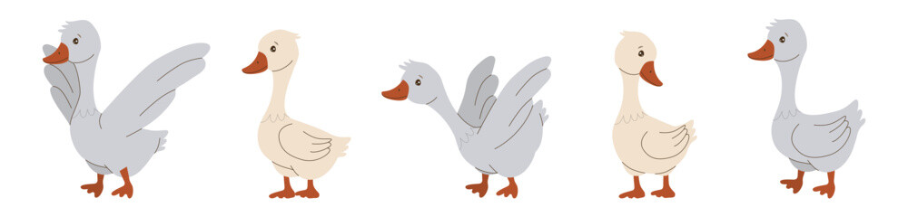 Vector illustration of five cartoon geese displaying various emotions and poses. Each goose is uniquely colored and positioned, showcasing creativity and whimsical character design.
