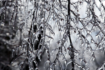 樹氷、霧氷、冬景色、龍神村、クリスマス