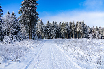 Obraz premium Winterwunderland im Thüringer Wald im Wintersportort Oberhof am Rennsteig - Thüringen - Deutschland