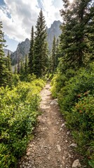 Obraz premium Scenic Rocky Mountain Trail Surrounded by Lush Greenery and Trees