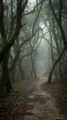 Fototapeta premium Misty Forest Pathway Surrounded by Lush Green Trees and Foliage