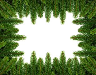 Evergreen frame, centered black void, festive