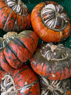 Close up of view from above of a group of patterned turban squash
