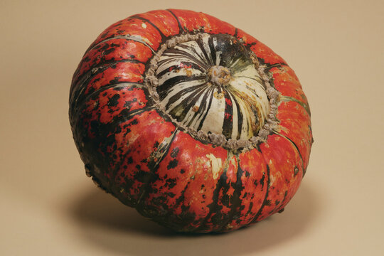 Close up of beautiful turban squash balancing against beige background
