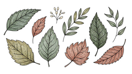 Vector set of bright green and yellow maple leaves with natural texture, perfect for autumn design or a spring foliage pattern