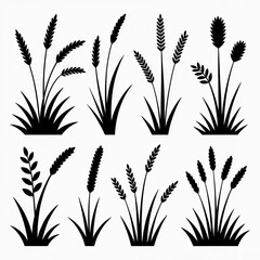 A stylized, graphic illustration featuring a collection of eight distinct silhouettes of tall grasses and seed heads against a clean white background. 
