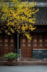 Obraz premium Ancient Chinese architecture with bright yellow blossoms, elegant wood doors, and a potted plant