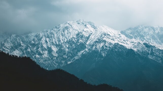Snow Capped Mountains with Dark Green Pine Trees in the Foreground and Overcast Skies