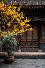 Naklejka premium Beautiful courtyard with yellow flowering tree in a pot, traditional building and ornate wooden door