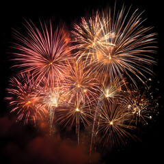 Colorful Fireworks Exploding in Night Sky