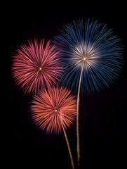 Colorful Fireworks Exploding in Night Sky