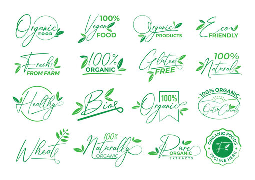 Set of Hand-drawn Organic logo design templates