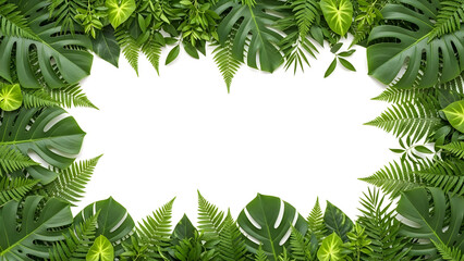 A natural frame of various fresh tropical green leaves on a clean white background.