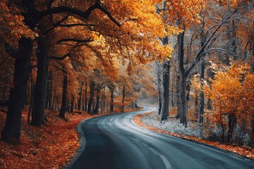 Obraz premium Vibrant autumn road winding through a colorful forest surrounded by trees adorned with striking orange leaves during a serene afternoon