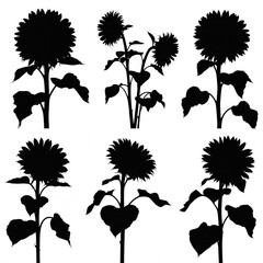 Silhouette of sunflowers isolated on white background these striking floral outlines capture the essence of summer, showcasing the beauty and simplicity of natures design .
