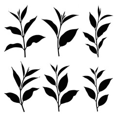 This image presents a clean, graphic illustration style featuring six distinct silhouettes of tea leaves and stems, arranged in two rows of three. 