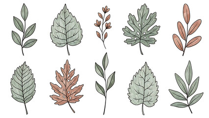 Green laurel wreath set vector pattern with seamless leaf and branch floral decoration design