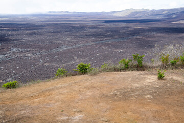 Wanderung am Krater des Vulcano Siera Negra- Dieser befindet sich auf der Galapagos Insel Isabela - Die Caldera ist mit 10 mal 7 km die zweitgrößte der Welt © Thomas