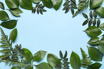 Frame made of different fresh green leaves on blue background