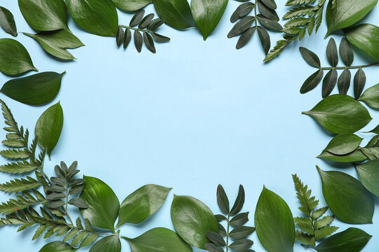 Green leaves border frame on light blue background with copy space, tropical foliage flat lay, botanical nature backdrop for eco design, spring or summer greeting card