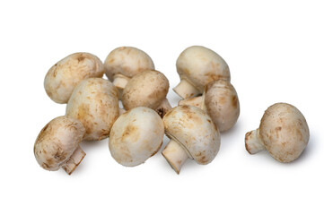 High-quality fresh mushrooms for commercial use. Neutral background is perfect for packaging, delivery websites, recipes, and menus. Showcases the product's naturalness.