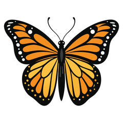 Vibrant monarch butterfly illustration with black and white accents