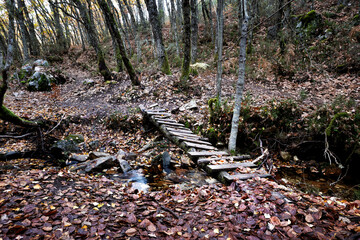 Puente r&uacute;stico sobre el arroyo