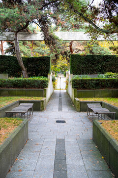 A tranquil pathway flanked by neatly trimmed hedges and stone walls, inviting the viewer to explore deeper into the serene and organized landscape beyond.