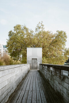 An eye-catching elevator structure positioned harmoniously between architectural lines and a lush tree, creating a captivating visual juxtaposition in urban greenery.
