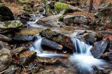 Oto&ntilde;o en el arroyo