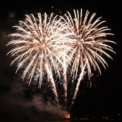 fireworks in the night sky