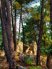 Rocas de granito entre los pinos