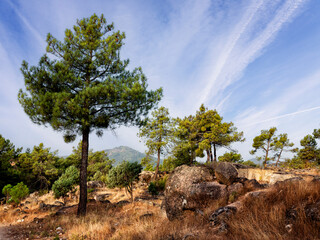Pico Guisando en la Sierra de Gredos