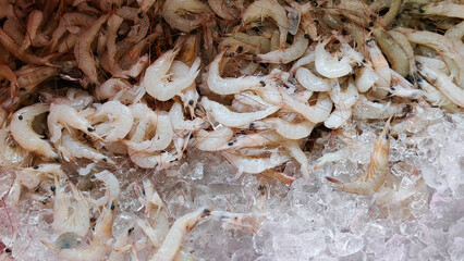 Heap of Fresh Tiny White Shrimp or Prawns Displayed on Crushed Ice Close-up