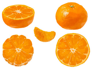 みかんのベクターイラストセット(丸ごと・断面・半分カット・飾り切り・一房薄皮なし)
