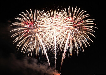 fireworks in the night sky