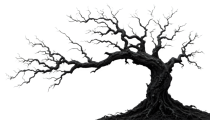 Roots of resilience. Ancient barren tree representing strength through adversity and time. Old white dead tree branch isolated on transparent PNG