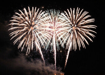 fireworks in the night sky