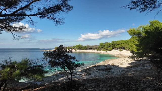 Walking through pine branches as a turquoise cove slowly comes into view on Dugi Otok, Croatia. Calm Adriatic waters and peaceful coastal nature.