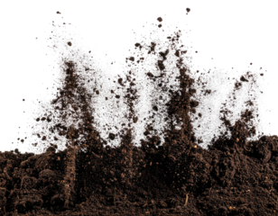 Dirt clod exploding, white dust cloud