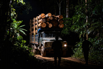 Truck transporting illegal logging timber through dark forest at night with silhouettes of workers nearby