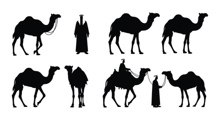 Silhouette collection of camels in various poses and arrangements on white background