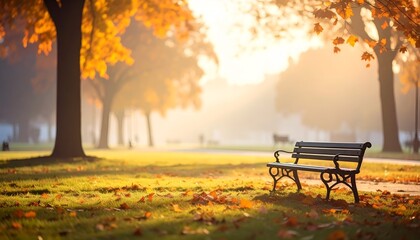 A park bench sits bathed in warm sunlight amidst colorful autumn foliage