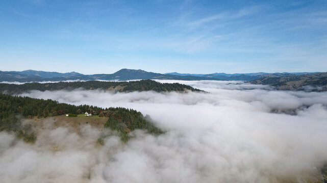 Aerial view of a sea of ethereal clouds nestled in the valley below, with tree-covered hills rising above the mist, Miranda, California, United States.