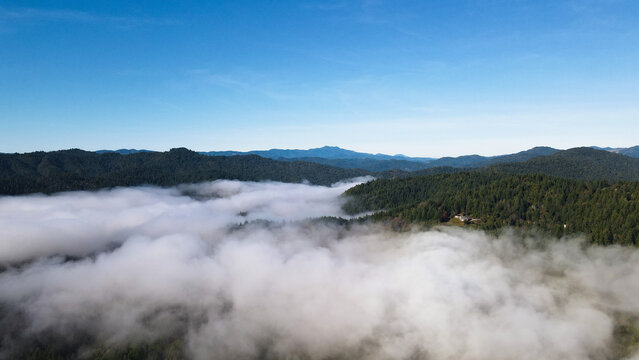 Aerial view of a sea of clouds nestled between rolling hills clad in deep green forests under a serene blue sky, Miranda, California, United States.