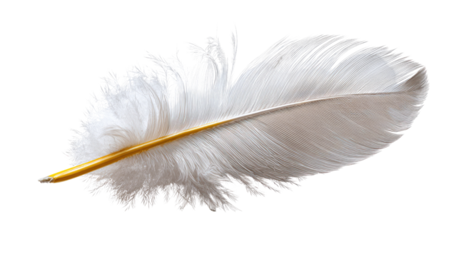 Ethereal Touch: A pristine, singular white feather, its delicate structure and graceful curves illuminated against a subtle backdrop, evokes a sense of serenity and weightlessness. - Powered by Adobe