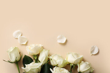 Beautiful white roses on beige background