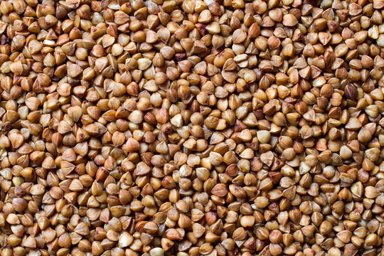The texture of raw buckwheat. Natural healthy buckwheat - Powered by Adobe