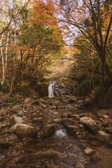 茨城県高萩市　紅葉の花貫渓谷
